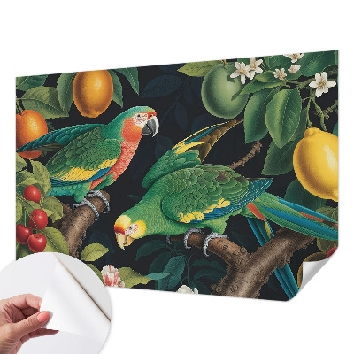 Removable wall mural with a tropical adventure design