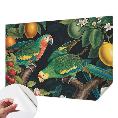Removable wall mural with a tropical adventure design