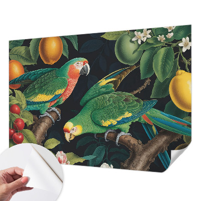 Removable wall mural with a tropical adventure design