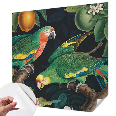 Removable wall mural Tropical adventure