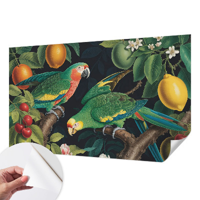 Removable wall mural with a tropical adventure design