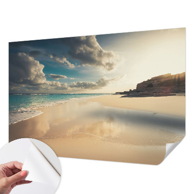 3D wall mural with a sunny coast design