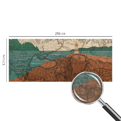Peel and stick wall mural Historical map