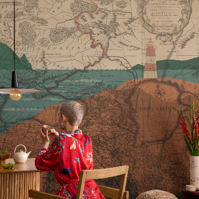 Peel and stick wall mural Historical map