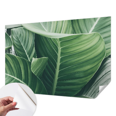 Peel and stick wallpaper mural Green peace