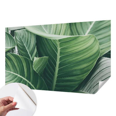 Peel and stick wallpaper mural Green peace