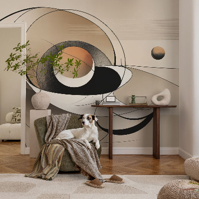3D wall mural Harmonious abstraction