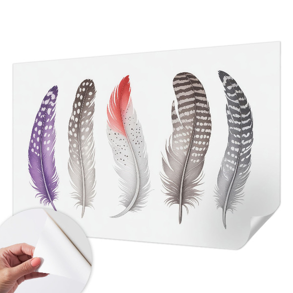 Baby room wall mural Patterned feathers