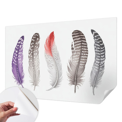 Baby room wall mural Patterned feathers