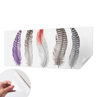 Baby room wall mural Patterned feathers