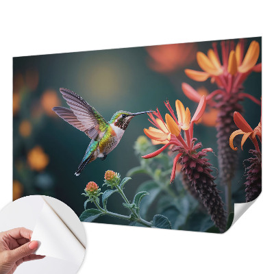 Peel and stick wall mural with a hummingbird and floral motif