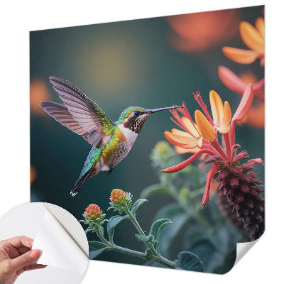 Peel and stick wall mural Hummingbird flowers