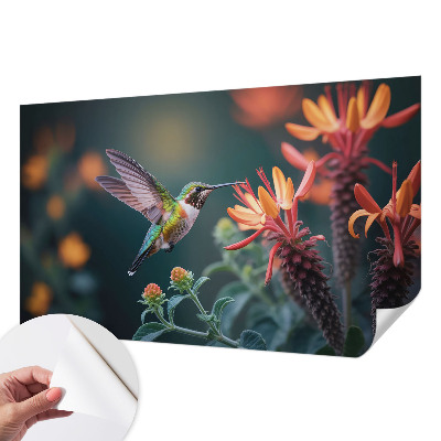 Peel and stick wall mural Hummingbird flowers