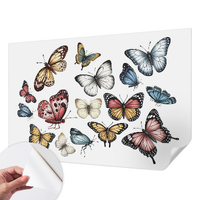 Self-adhesive wall mural with a paradise butterflies motif