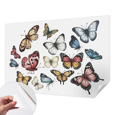 Self-adhesive wall mural with a paradise butterflies motif