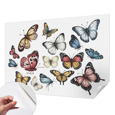Self-adhesive wall mural Paradise butterflies