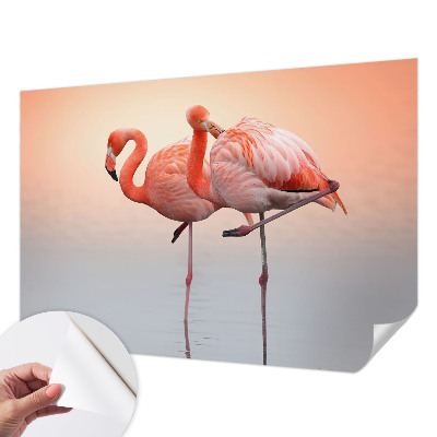 Self-adhesive wall mural Delicate flamingos