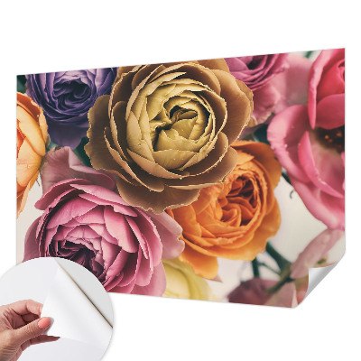 Removable wall mural wallpaper with a colorful rose pattern