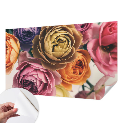 Removable wall mural wallpaper with a colorful rose pattern