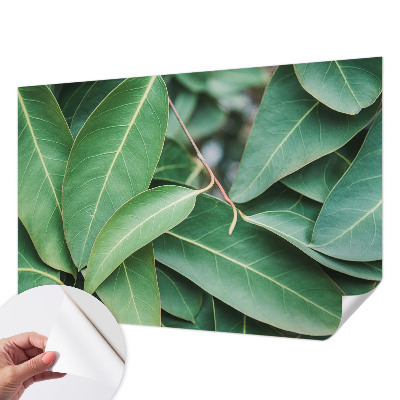 Peel and stick wall mural for kids' room with green leaf pattern