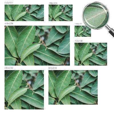 Peel and stick wall mural for kids' room Green leaves