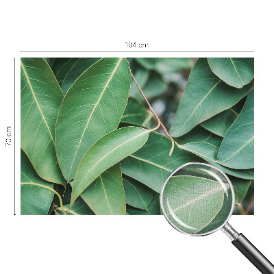 Peel and stick wall mural for kids' room with green leaf pattern