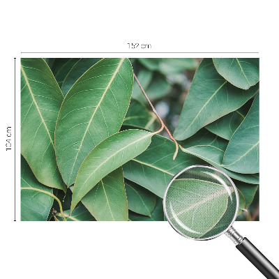 Peel and stick wall mural for kids' room Green leaves