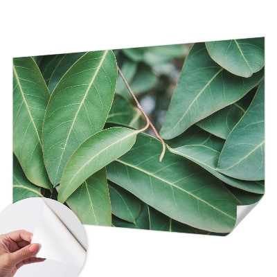 Peel and stick wall mural for kids' room with green leaf pattern