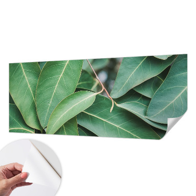 Peel and stick wall mural for kids' room with green leaf pattern