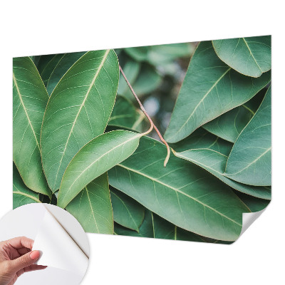 Peel and stick wall mural for kids' room with green leaf pattern