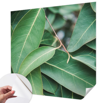 Peel and stick wall mural for kids' room with green leaf pattern