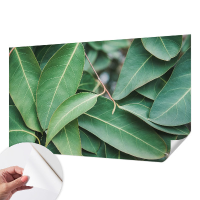 Peel and stick wall mural for kids' room Green leaves