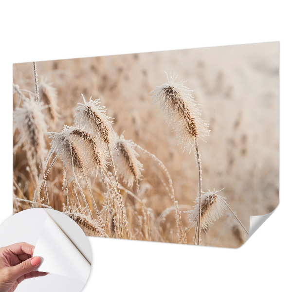 Peel and stick wall mural featuring a winter landscape scene