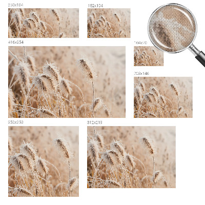 Peel and stick wall mural Winter landscape