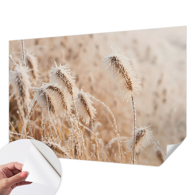 Peel and stick wall mural Winter landscape