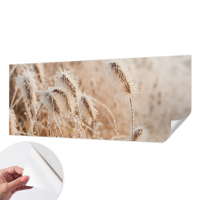 Peel and stick wall mural Winter landscape