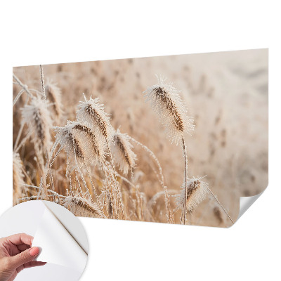Peel and stick wall mural featuring a winter landscape scene
