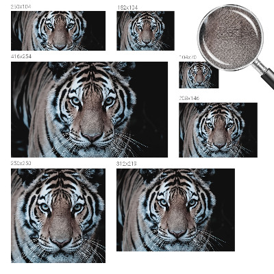 Nursery wall mural with a realistic tiger portrait for a child's room