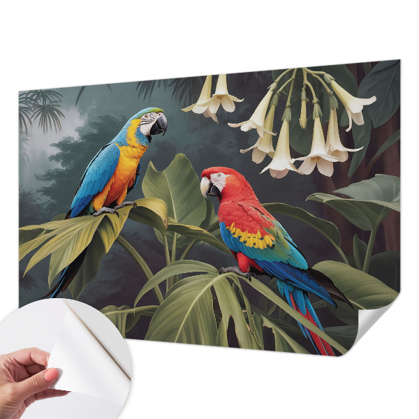 Peel-and-stick wall mural with a colorful parrot design for bedroom decor