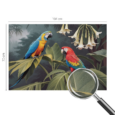 Peel-and-stick wall mural with a colorful parrot design for bedroom decor