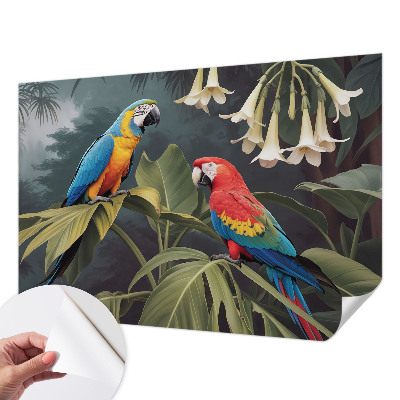 Peel-and-stick wall mural with a colorful parrot design for bedroom decor