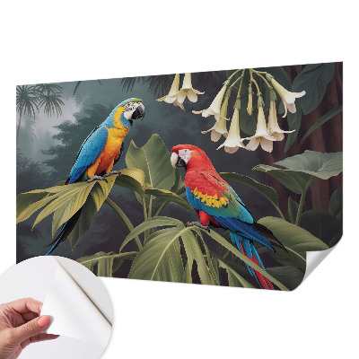 Peel and stick wall mural for bedroom Colorful parrots