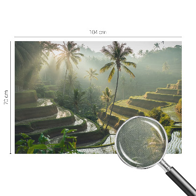 Peel and stick wallpaper mural with the Paradise terraces design