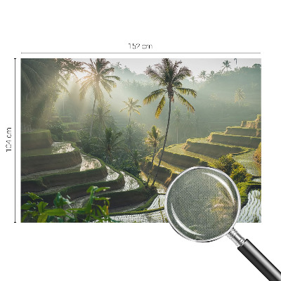 Peel and stick wallpaper mural with the Paradise terraces design