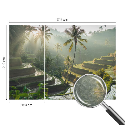 Peel and stick wallpaper mural Paradise terraces