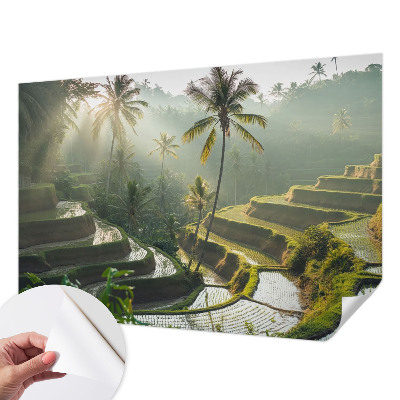 Peel and stick wallpaper mural with the Paradise terraces design