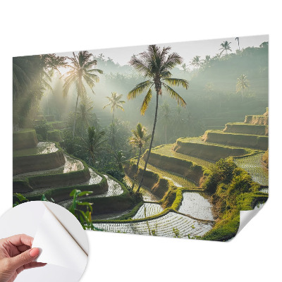 Peel and stick wallpaper mural Paradise terraces