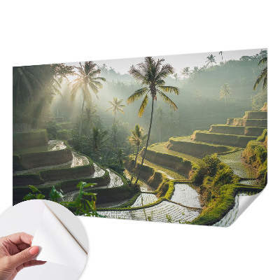 Peel and stick wallpaper mural with the Paradise terraces design