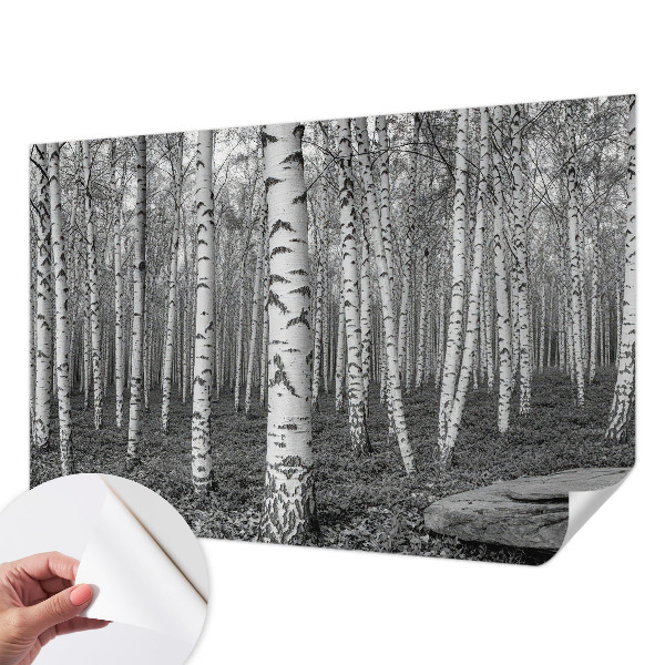 Stick-on wall mural Birch forest