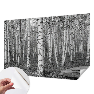 Stick-on wall mural with a birch forest design